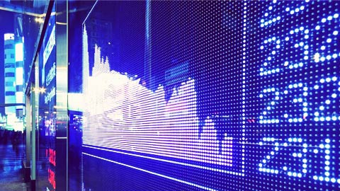 Adyen share tumble on H1 outcomes