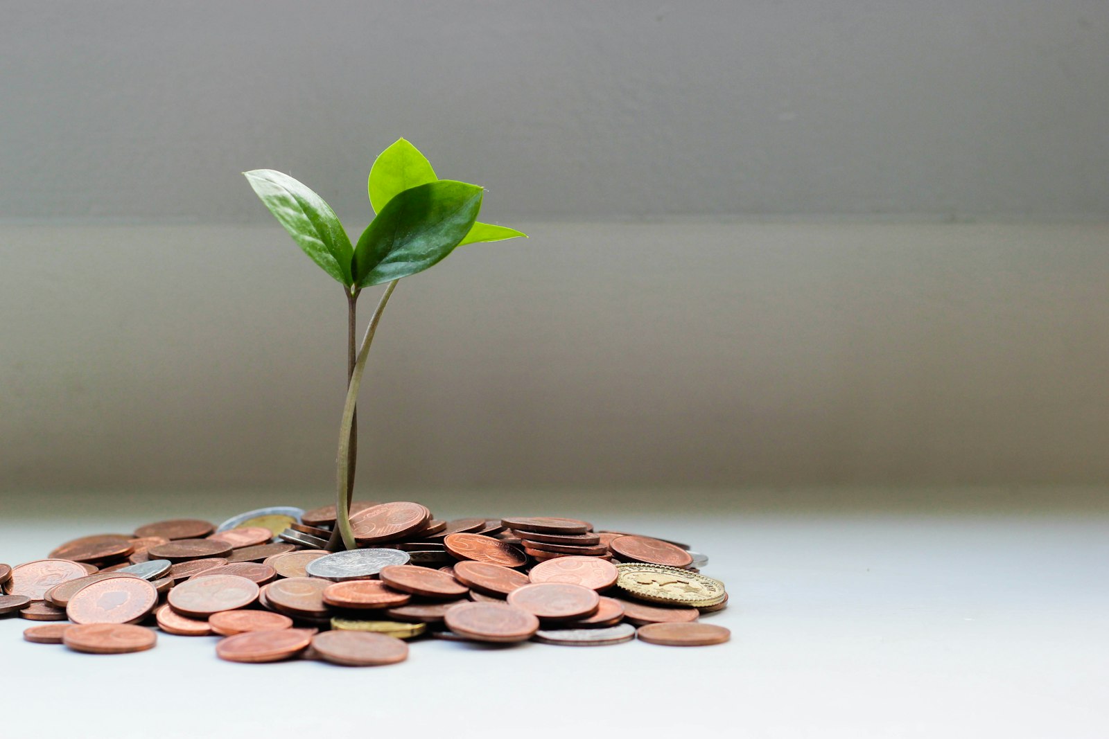 Easy-Access vs Fixed-Rate Savings: Which Account Fits Your Plans?